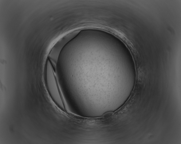 X0000090701520200708031403