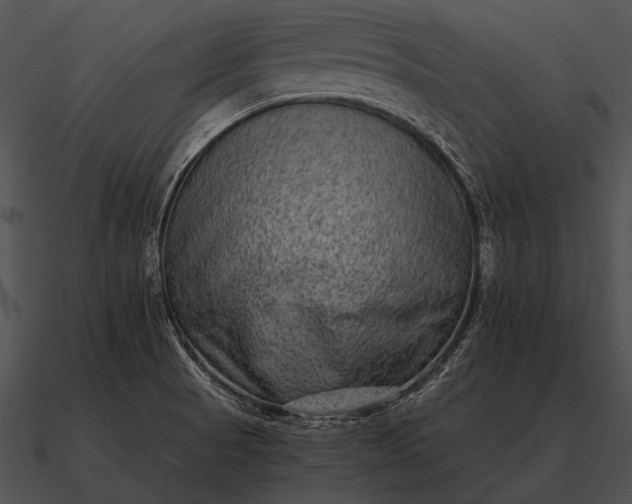 X0000090701521200708031403