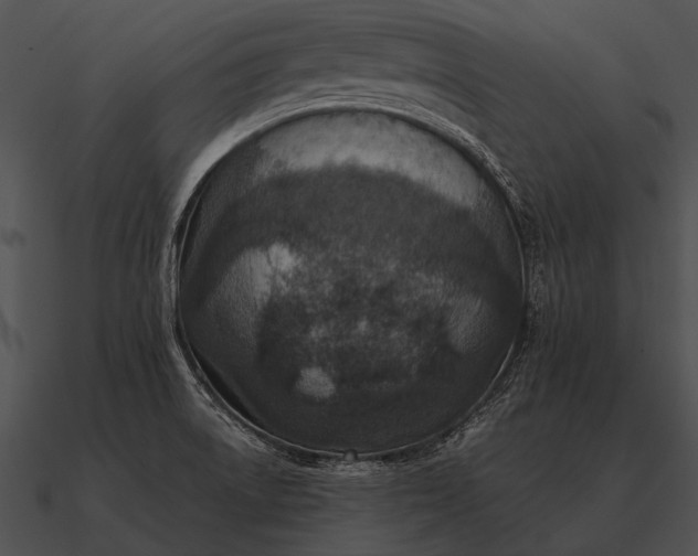 X0000090701522200708031403