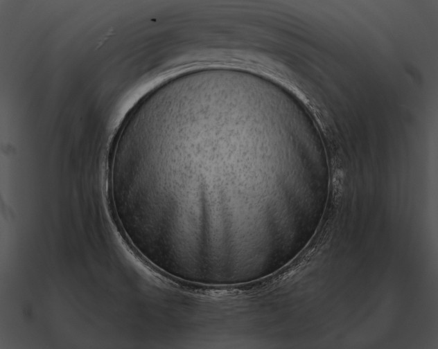 X0000090701523200708031403