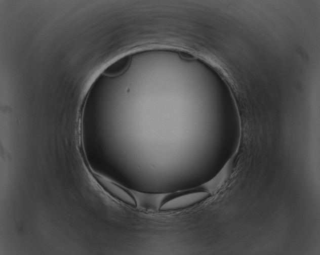 X0000090701524200708031403