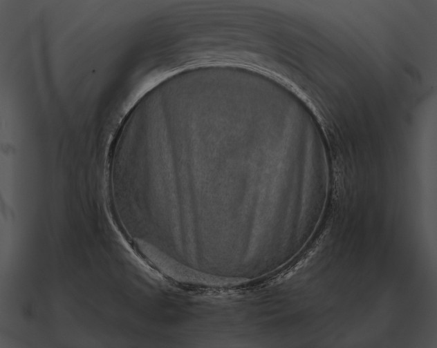 X0000090701525200708031403