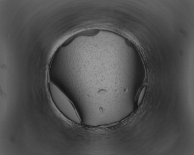 X0000090701528200708031403