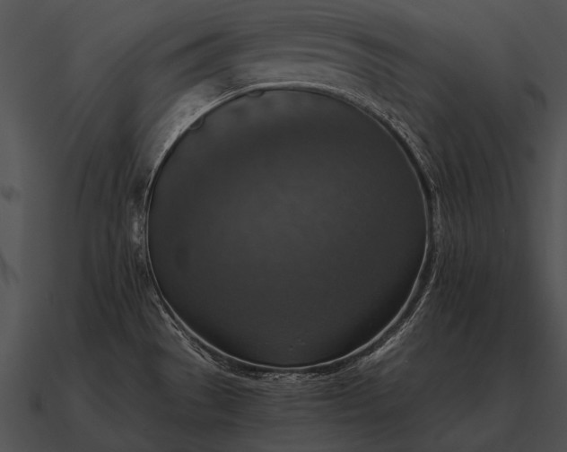 X0000090701529200708031403