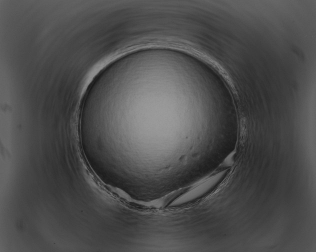 X0000090701530200708031403