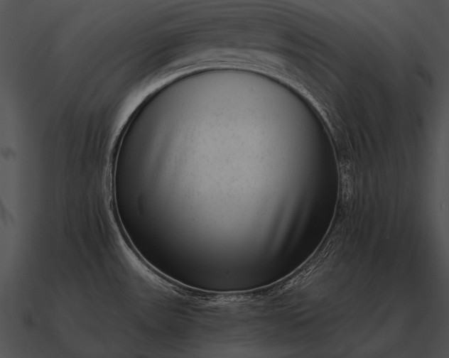 X0000090701531200708031403