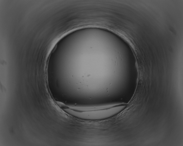 X0000090701532200708031403