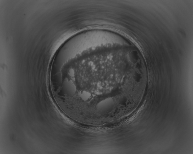 X0000090701533200708031403