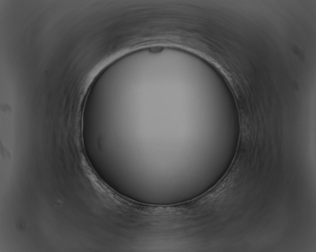 X0000090701534200708031403