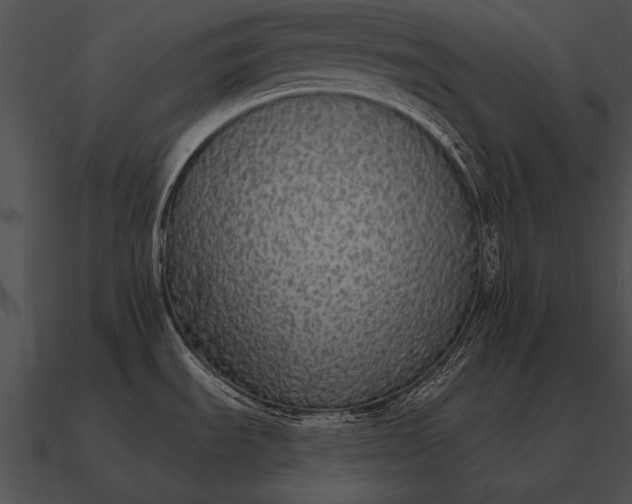 X0000090701535200708031403