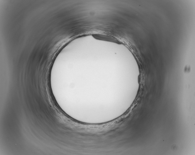 X0000090700001200708101452
