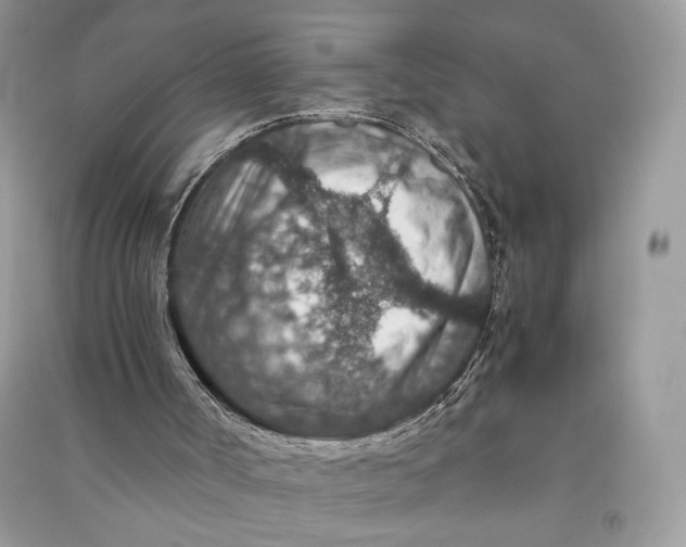 X0000090700002200708101452