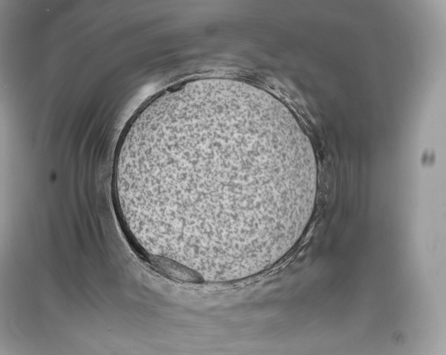 X0000090700003200708101452