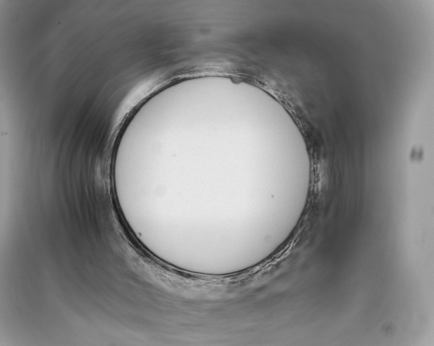 X0000090700004200708101452