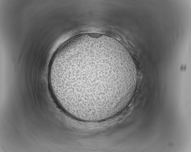 X0000090700006200708101452