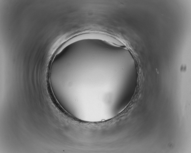 X0000090700007200708101452