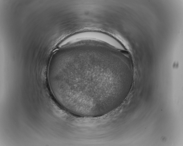 X0000090700009200708101452