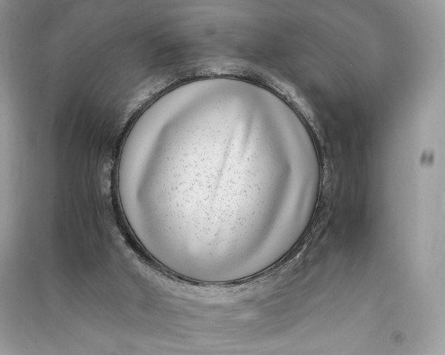 X0000090700010200708101452