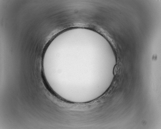 X0000090700011200708101452