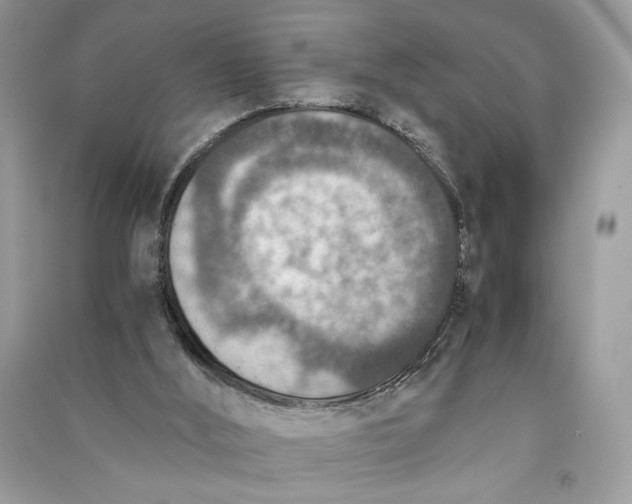 X0000090700012200708101452