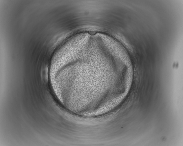 X0000090700014200708101452