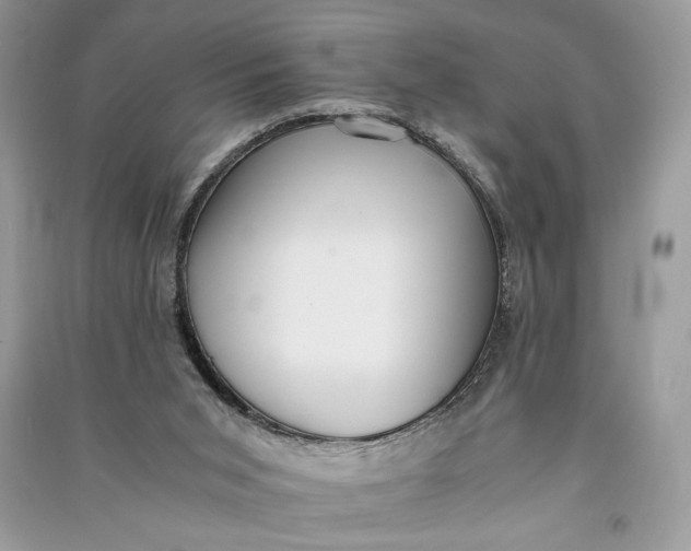 X0000090700015200708101452
