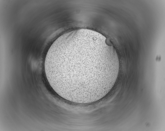 X0000090700016200708101452