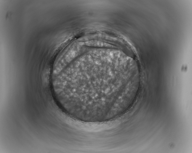 X0000090700018200708101452