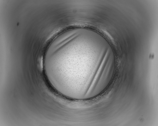 X0000090700020200708101452
