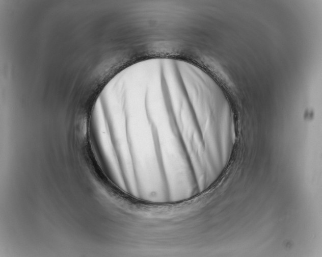X0000090700021200708101452