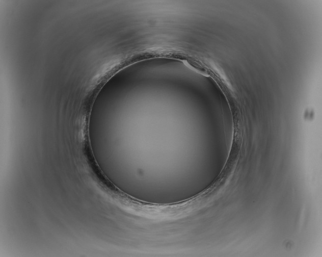X0000090700023200708101452