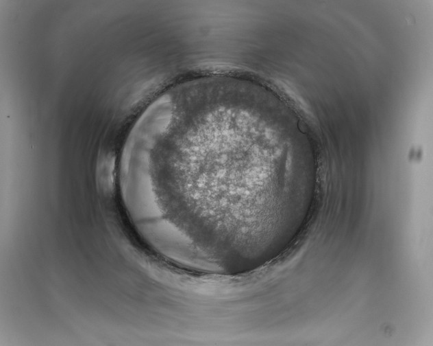 X0000090700024200708101452