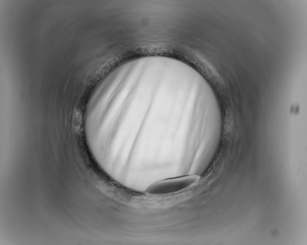 X0000090700025200708101452