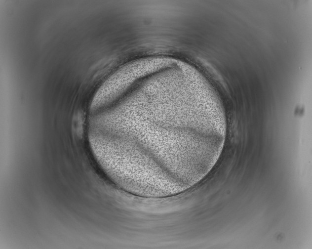 X0000090700026200708101452