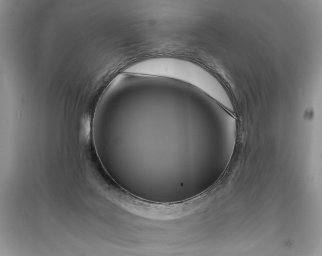 X0000090700027200708101452