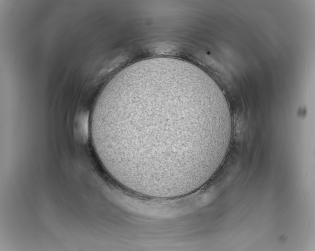X0000090700028200708101452