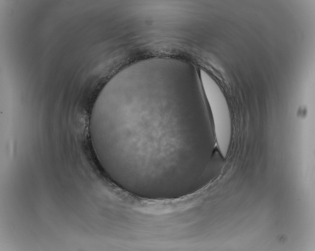 X0000090700029200708101452