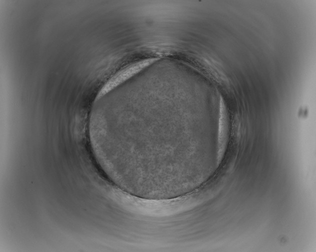 X0000090700030200708101452