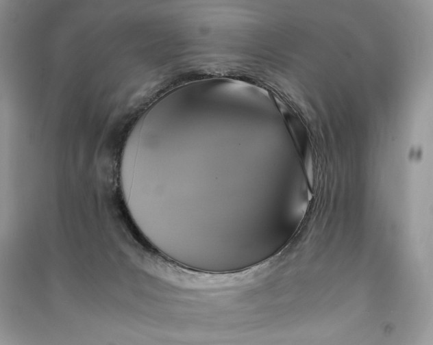 X0000090700031200708101452