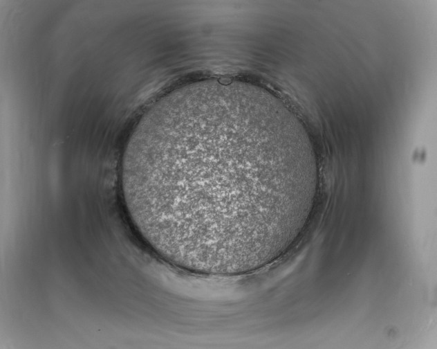 X0000090700032200708101452