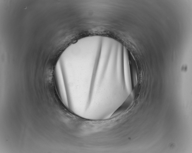 X0000090700033200708101452