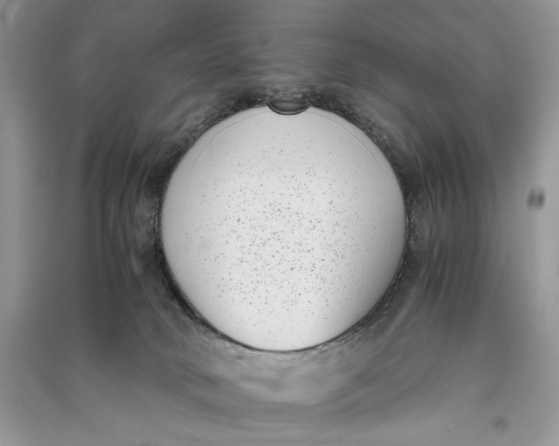X0000090700034200708101452