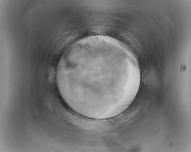 X0000090700036200708101452
