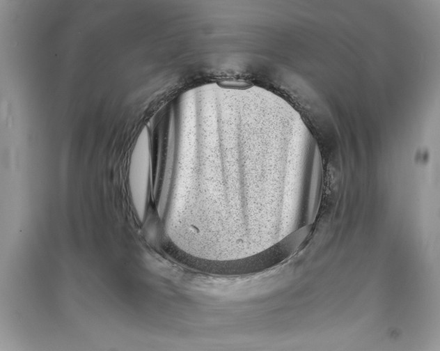 X0000090700037200708101452