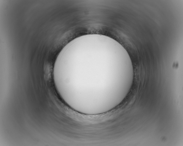 X0000090700038200708101452