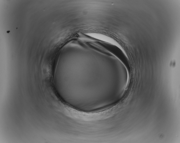 X0000090700039200708101452