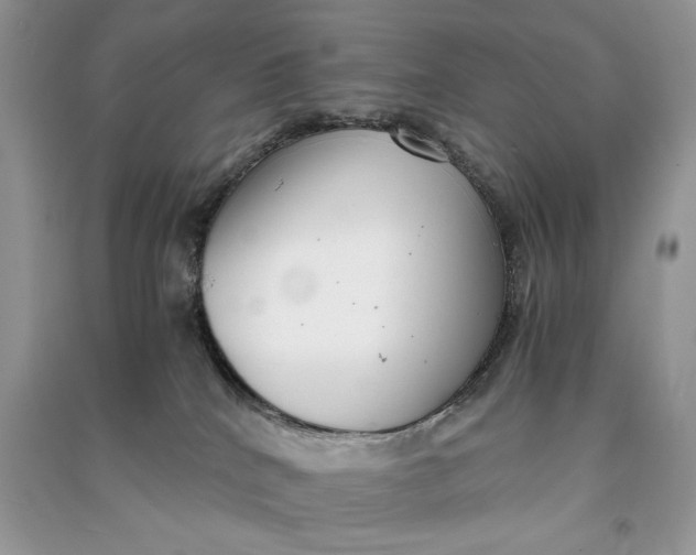X0000090700040200708101452