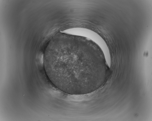 X0000090700041200708101452