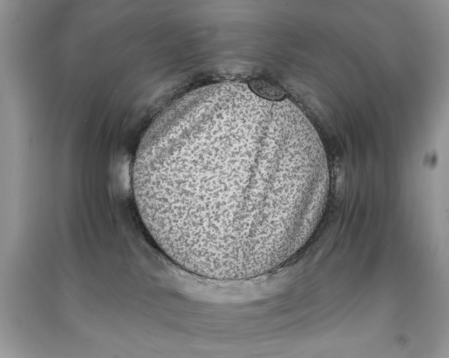 X0000090700042200708101452