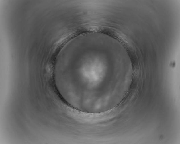 X0000090700043200708101452